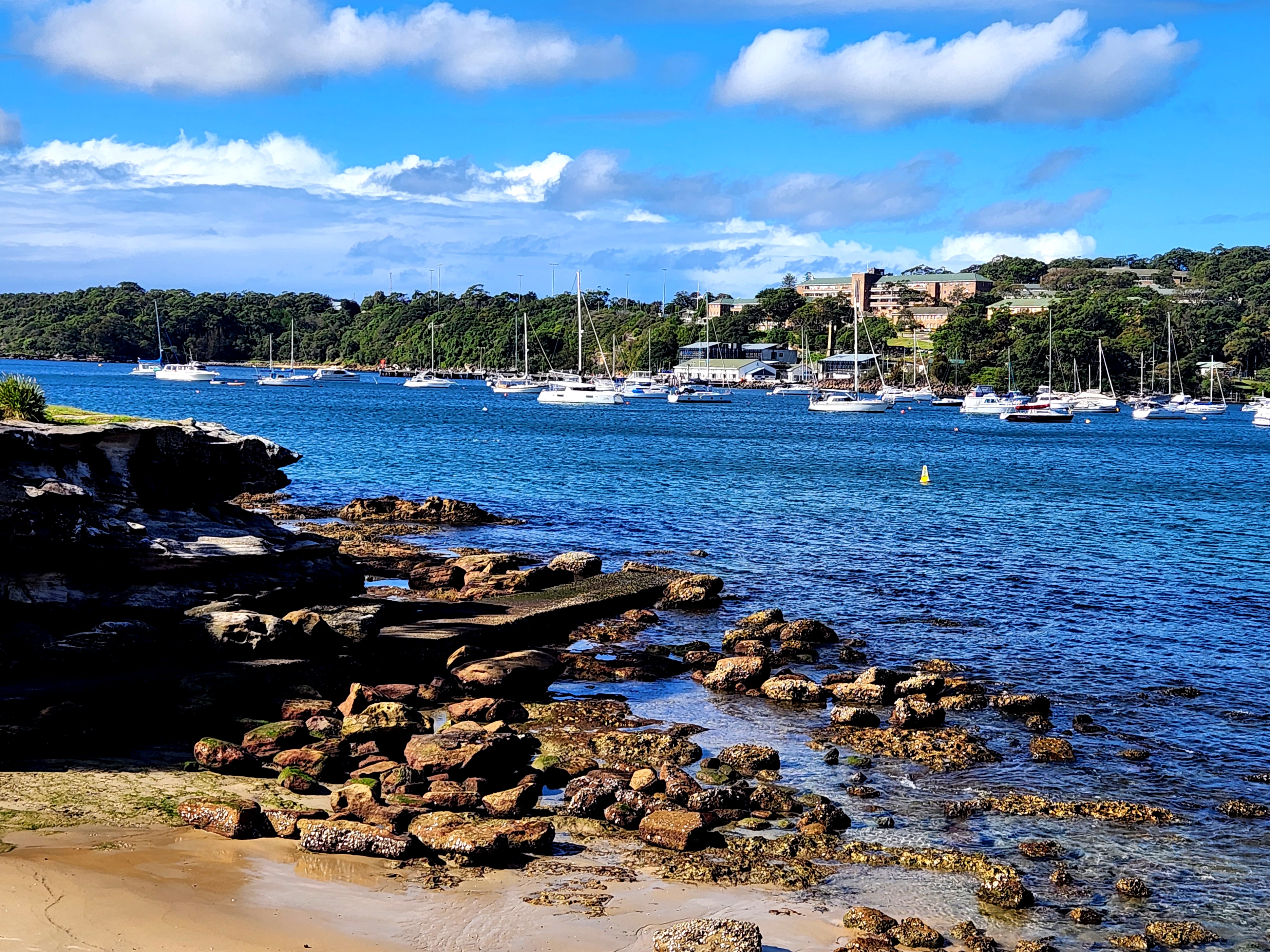 Scenic Wonders