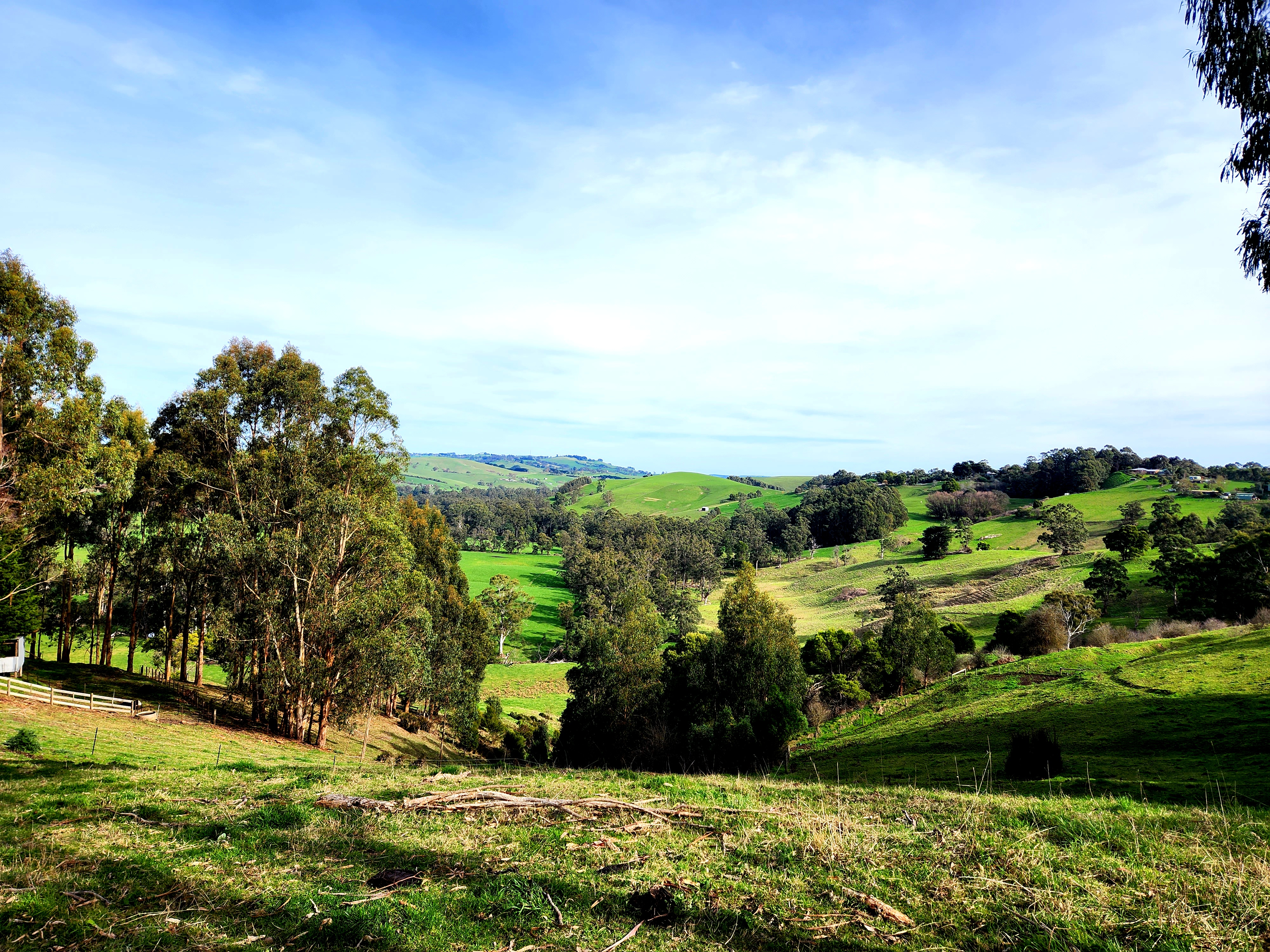 Escape to the Country