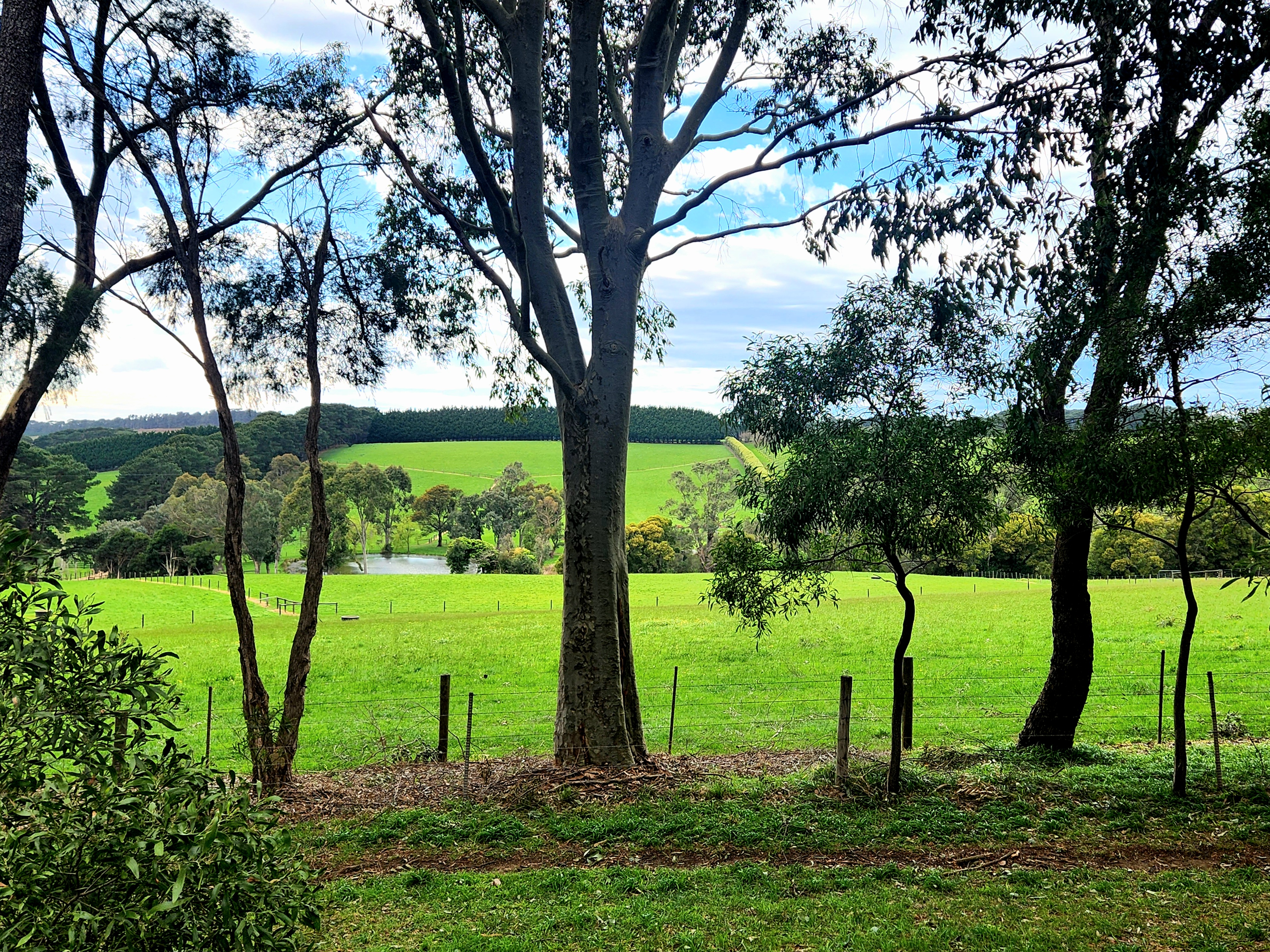 Charming Flinders