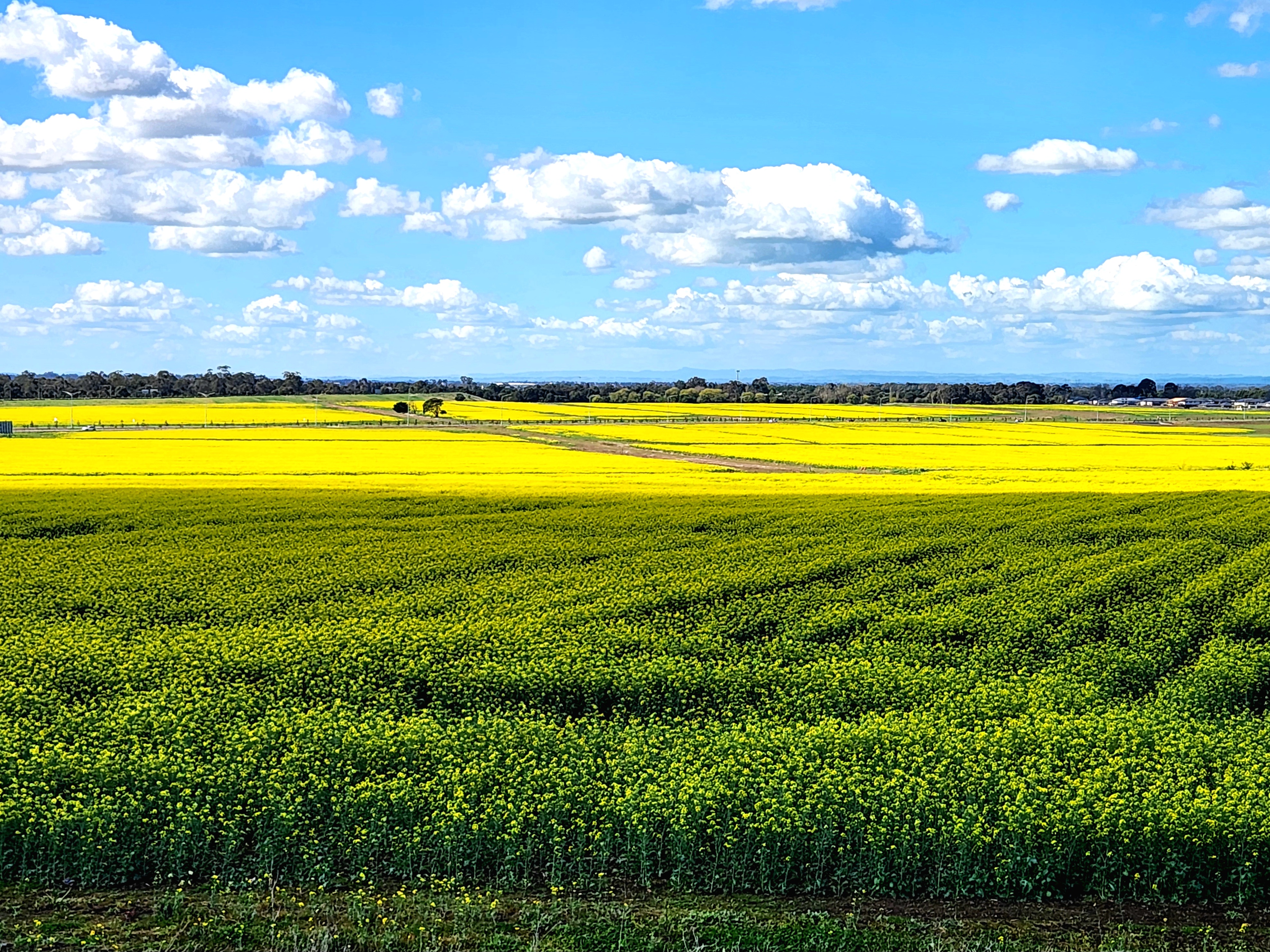 Time to Return