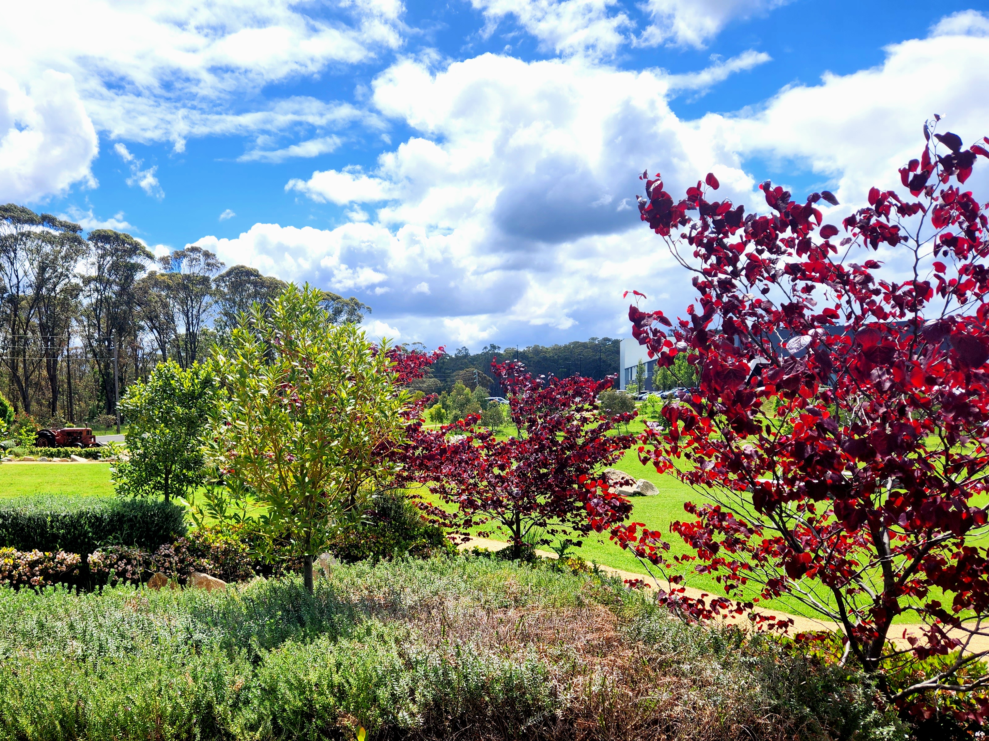 Montague Orchard