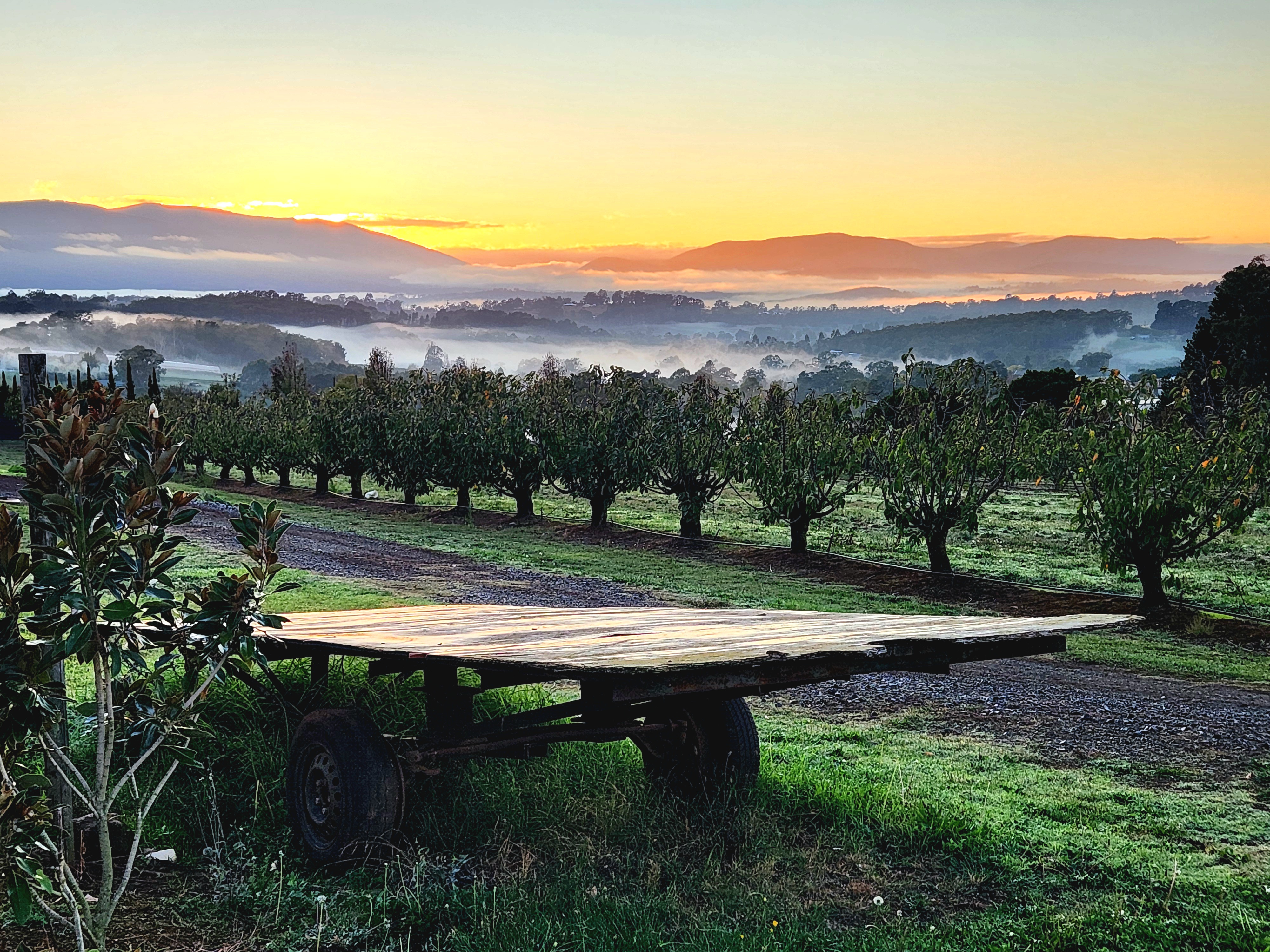 An Autumn Day Unfolding