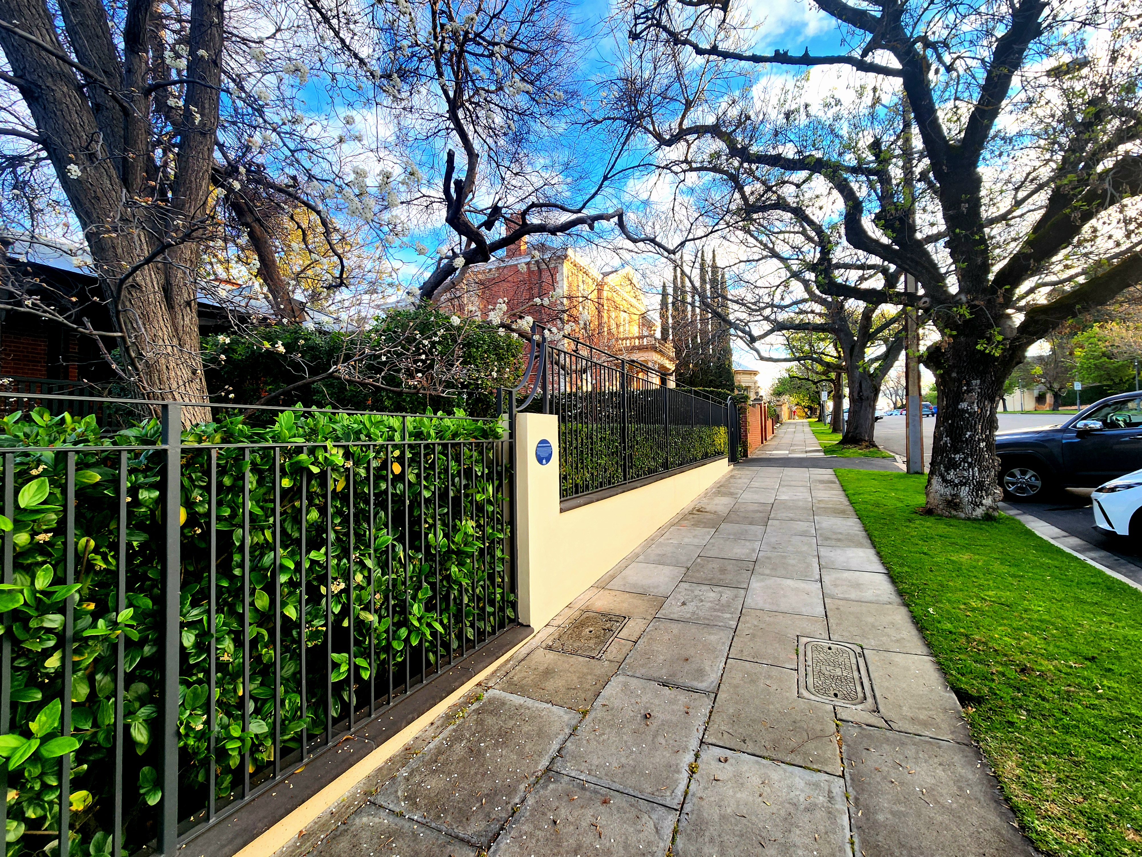 Adelaide’s Charm Unfolds