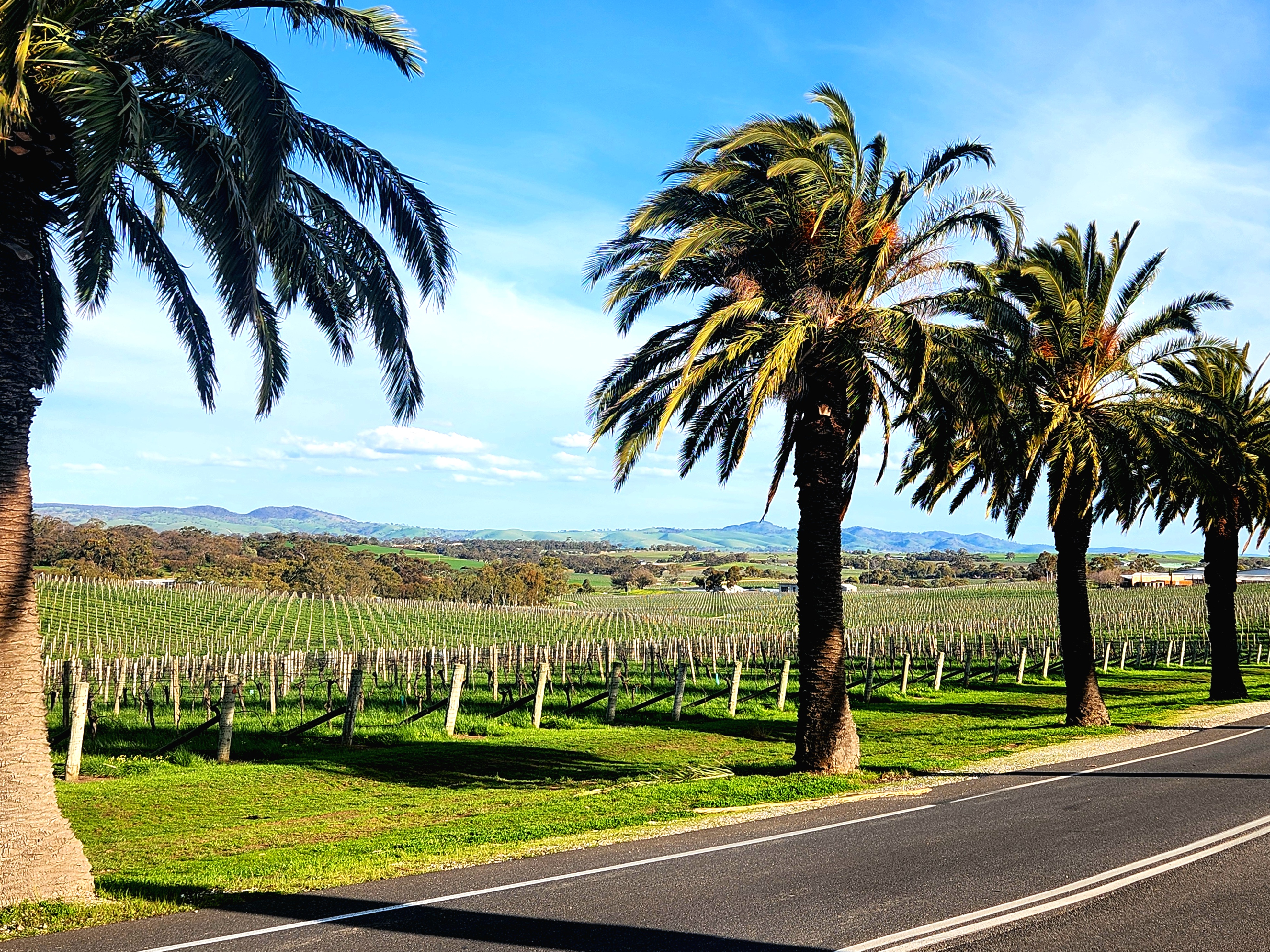 A Day in Barossa