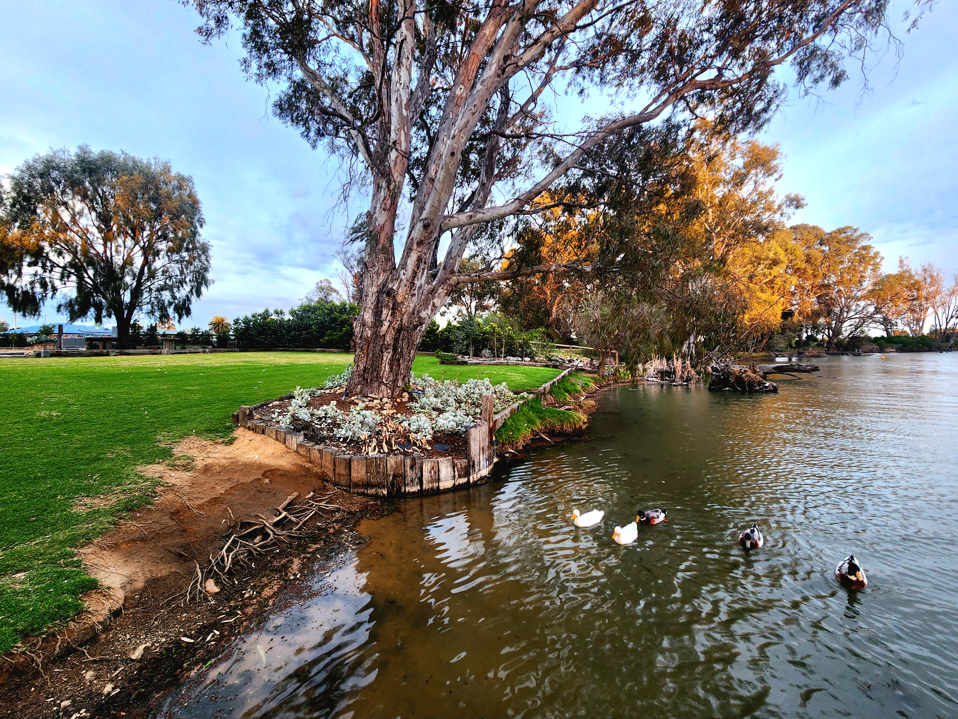 Hush the Rush of Life