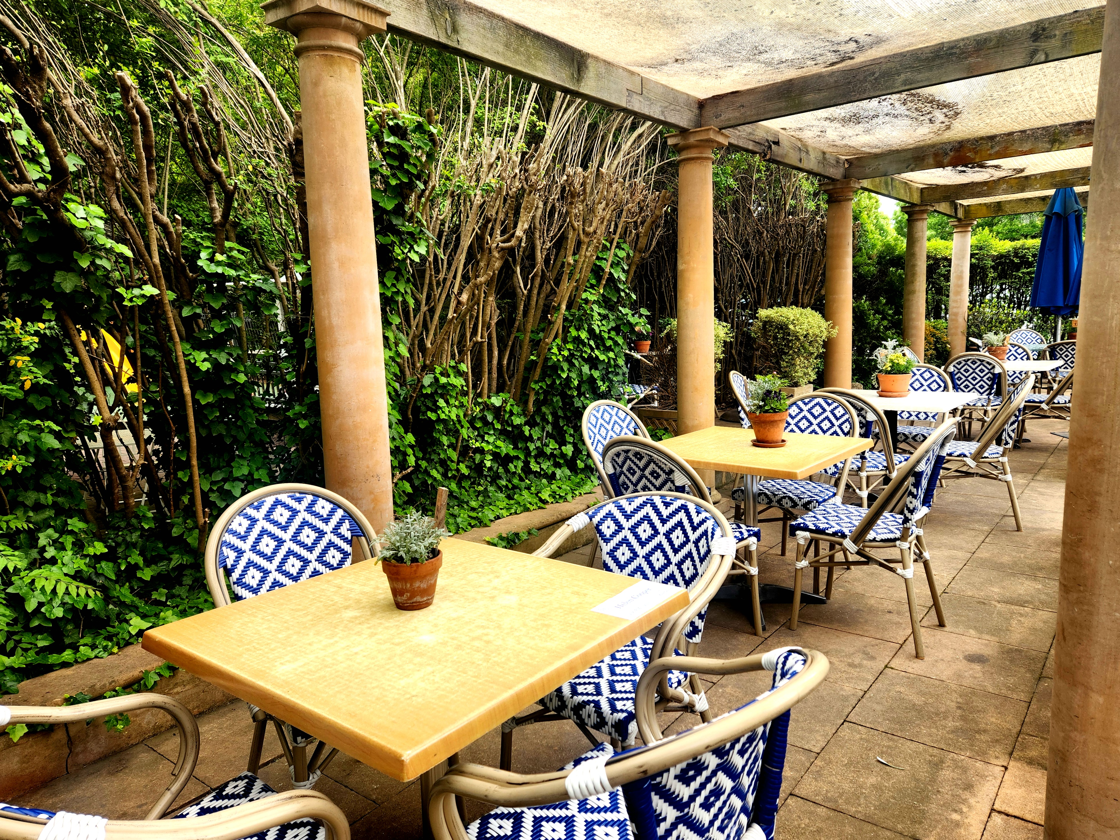 Christmas at Rodney’s